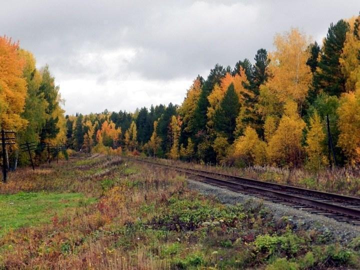 or 04