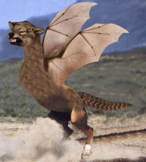 pegasofer