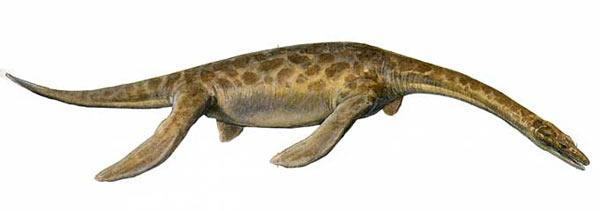 pistosaurus