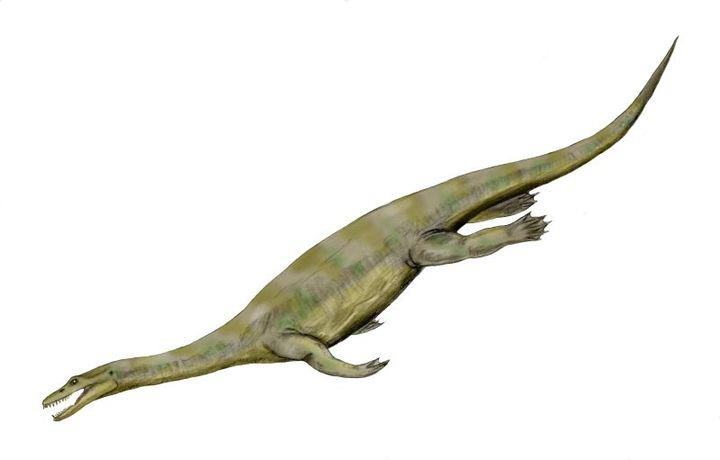 pistosaurus