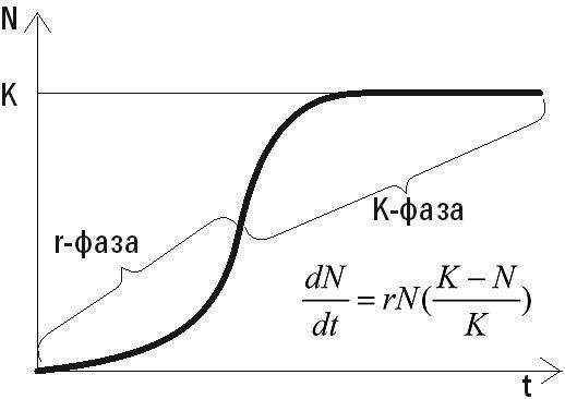 r k