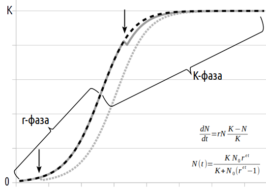 Рис. 6.2.5. Вплив катастроф на чисельність популяції, що зростає відповідно до логістичної моделіЗниження чисельності популяції на r-фазі ніби повертає популяцію, що зростає відповідно до логістичної моделі, у минуле (тобто на етап із меншою чисель