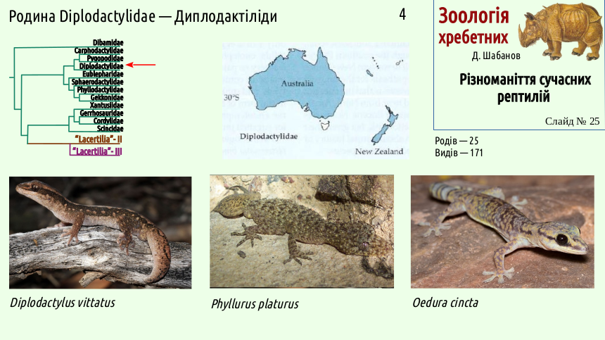 reptilian systematics 25