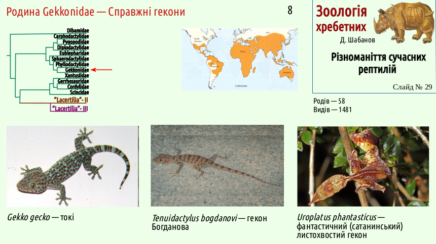 reptilian systematics 29