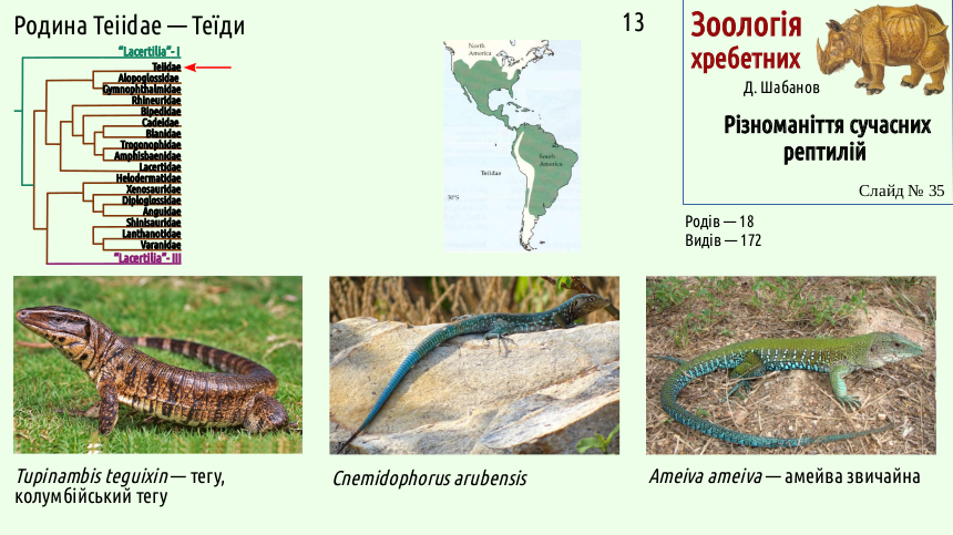 reptilian systematics 35