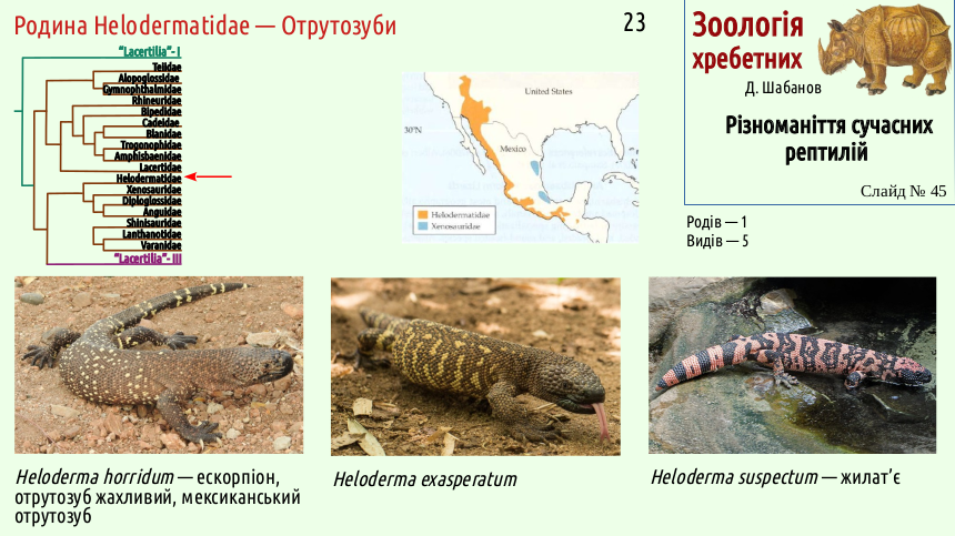 reptilian systematics 45