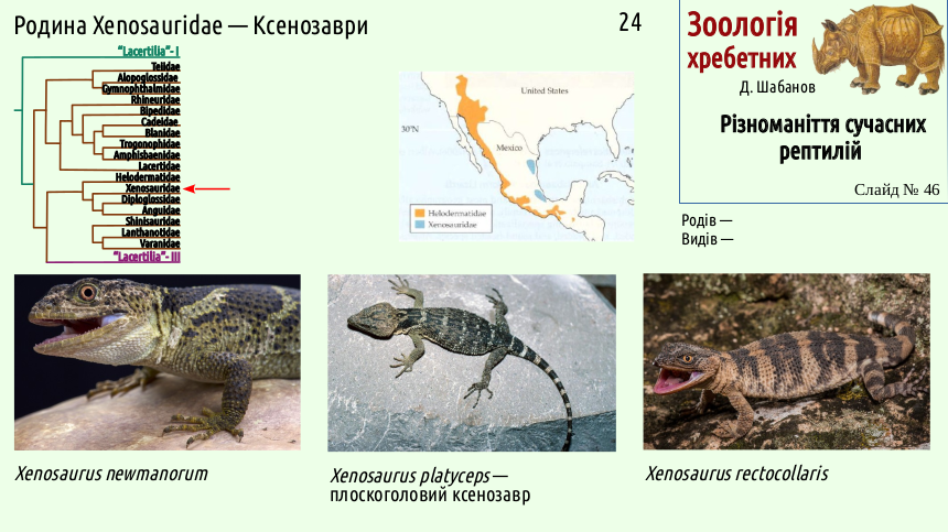 reptilian systematics 46