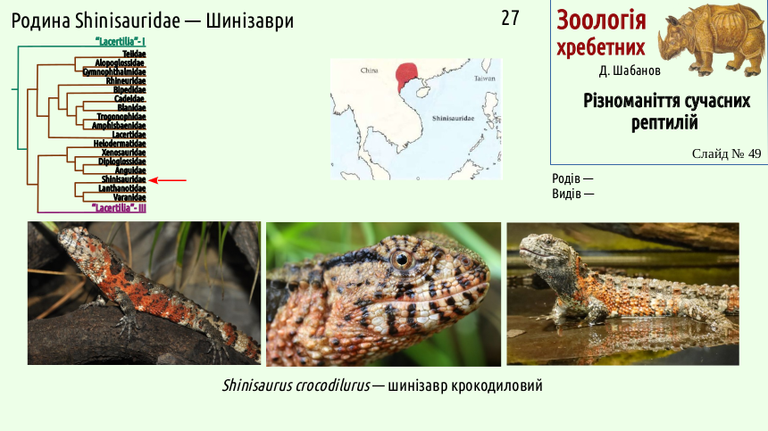 reptilian systematics 49