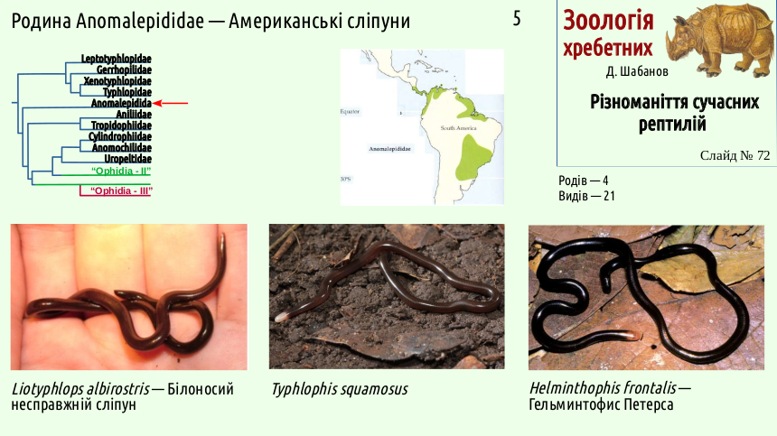 reptilian systematics 72