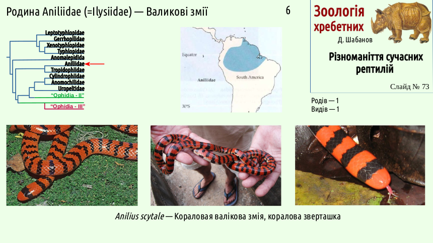reptilian systematics 73