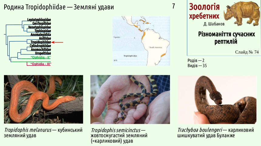 reptilian systematics 74