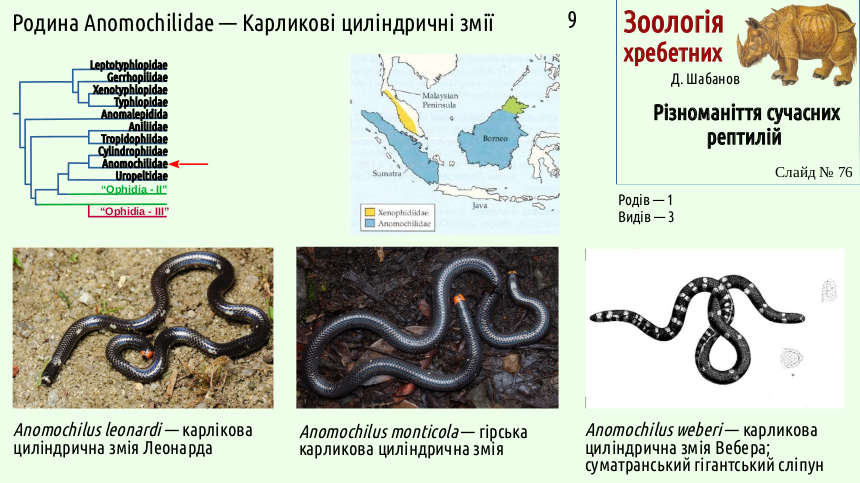 reptilian systematics 76