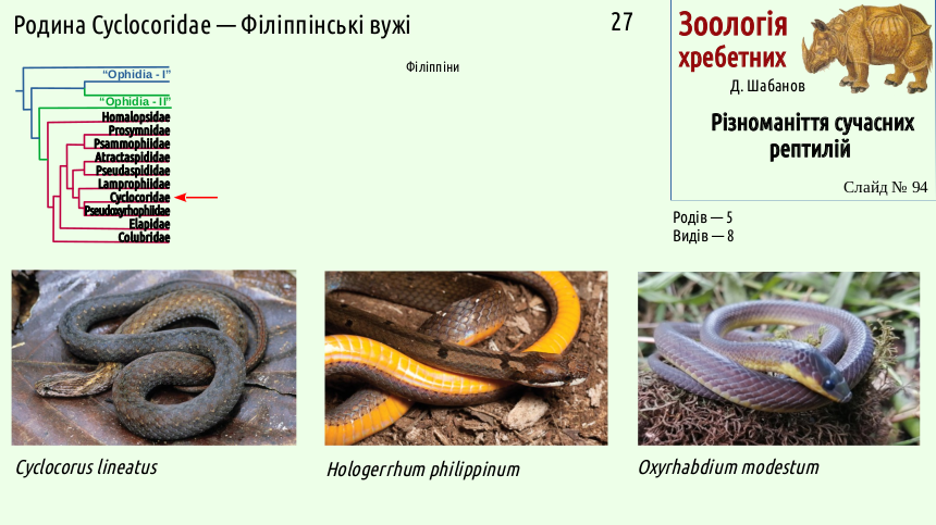 reptilian systematics 94