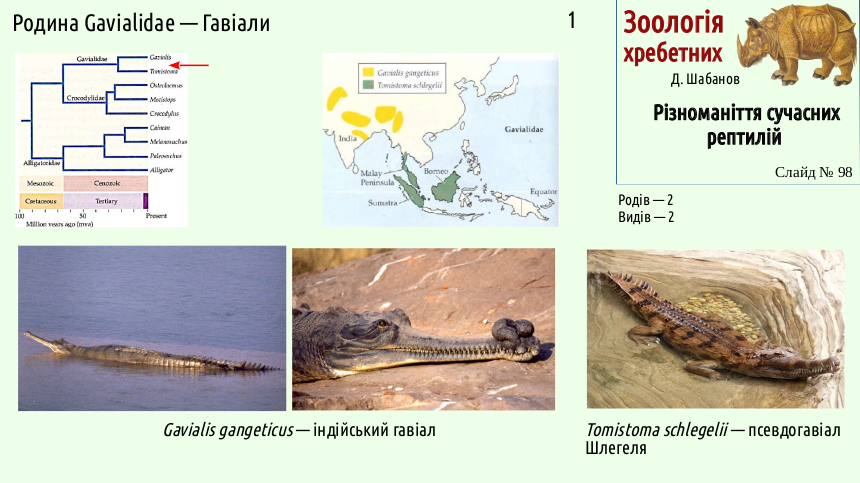 reptilian systematics 98