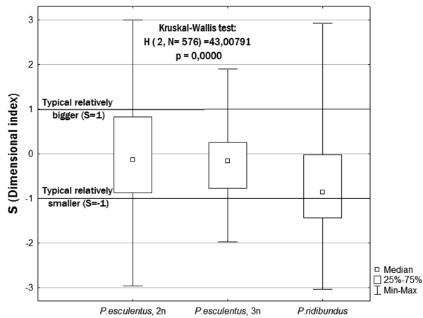 Figure 3. Comparison of the dimensional index value (S) for three studied forms of water frogs Comparing the representatives of two selected size groups of frogs, we found significant differences in their growth rate at the 3rd and 4th years of lif
