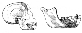 sh02 01