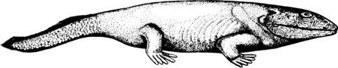 sh03 03