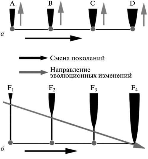 Рис. 4. Механізм еволюції в розумінні двох альтернативних версій селекціонізму: а — генетична теорія (ГТЕ), б — епігенетична теорія (ЕТЕ). ГТЕ: елементарна еволюційна подія рівнозначна мутації, що міститься в зародковій клітині, і здійснюється в