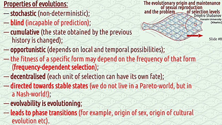 shabanov evoschool 08 result