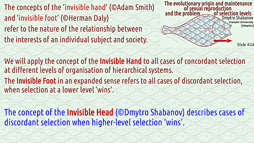 shabanov evoschool 24 result