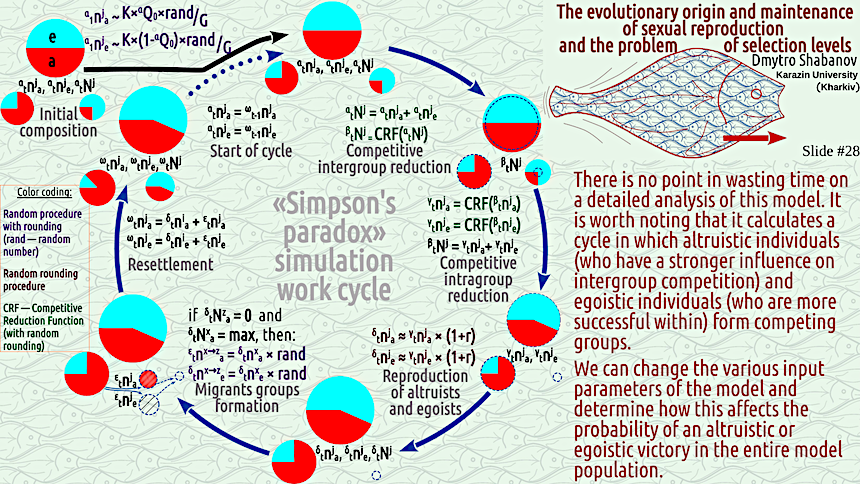 shabanov evoschool 28 result