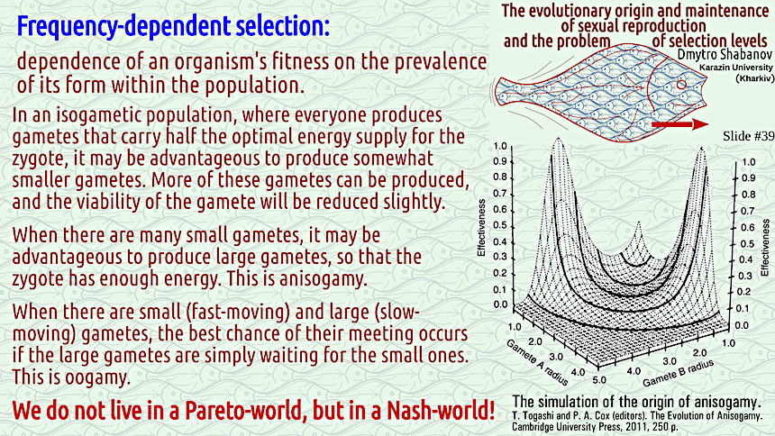 shabanov evoschool 39 result
