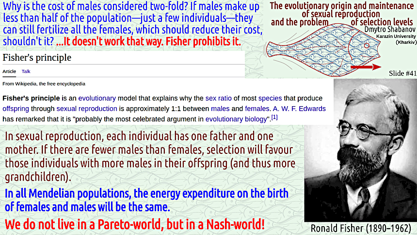 shabanov evoschool 41 result