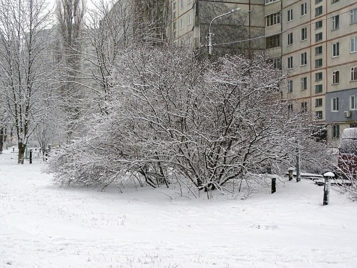 snow 01