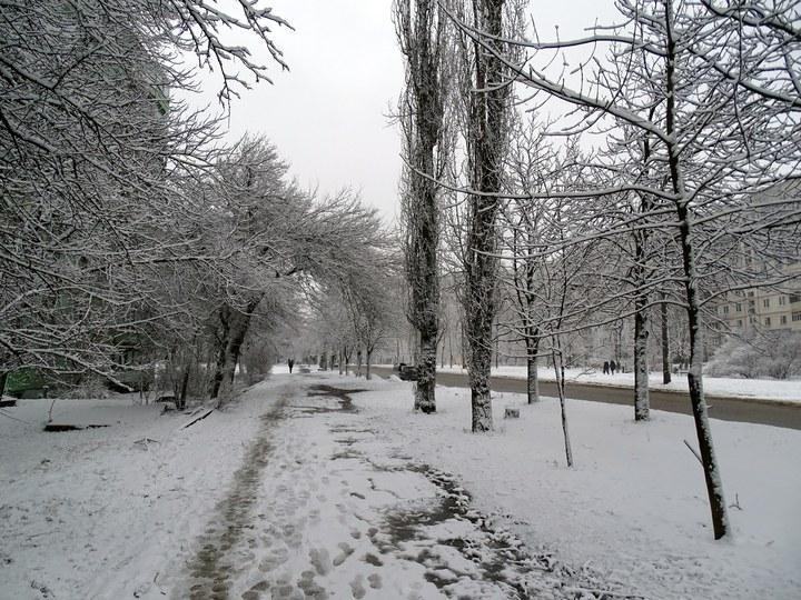 snow 06