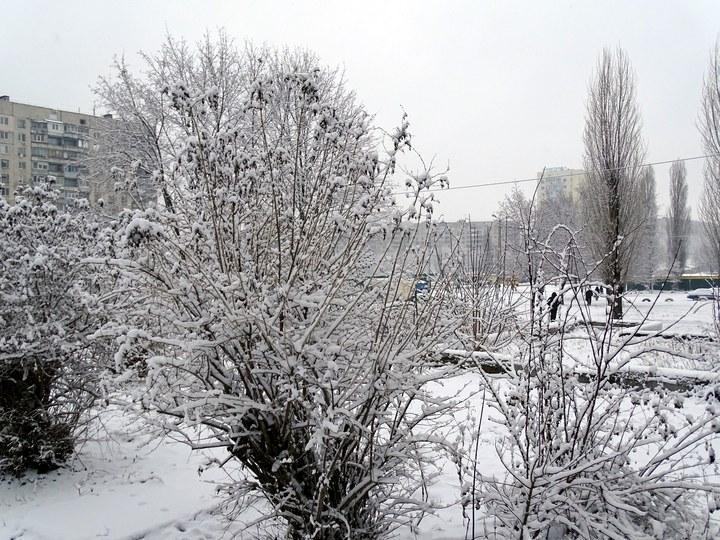 snow 09