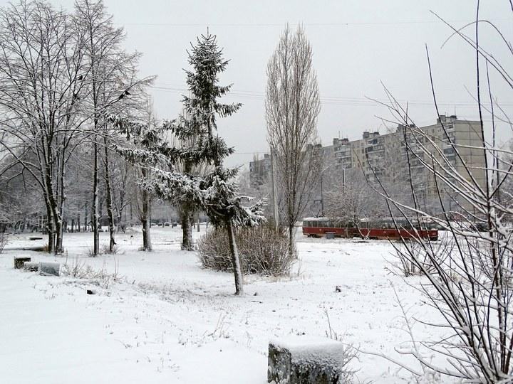snow 12