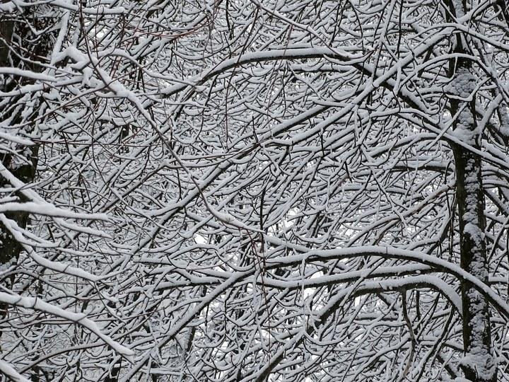 snow 14