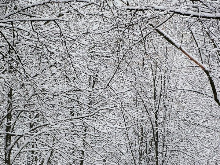 snow 15