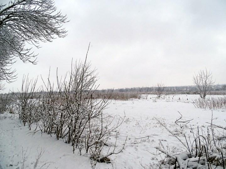 snow 20