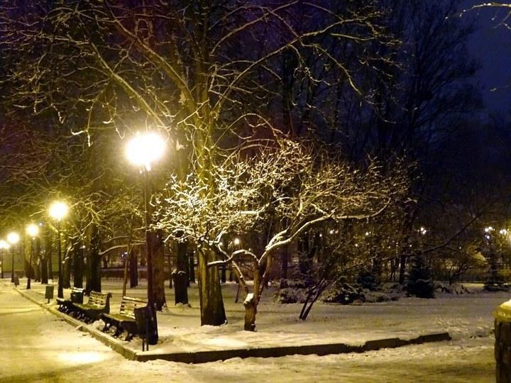 snow 24