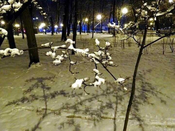 snow 26
