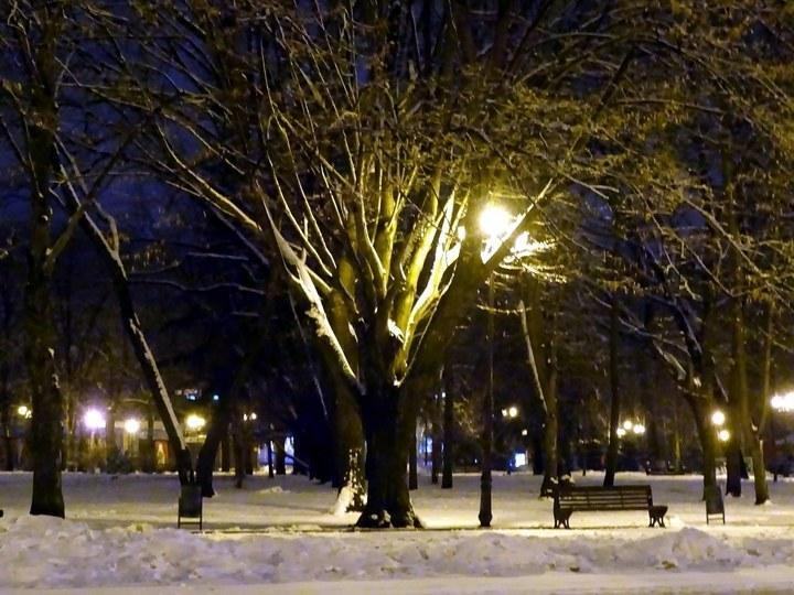 snow 27