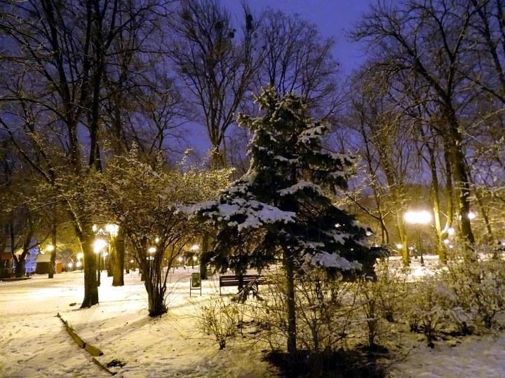 snow 28