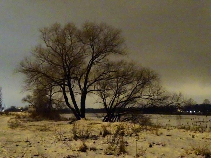 snow 44