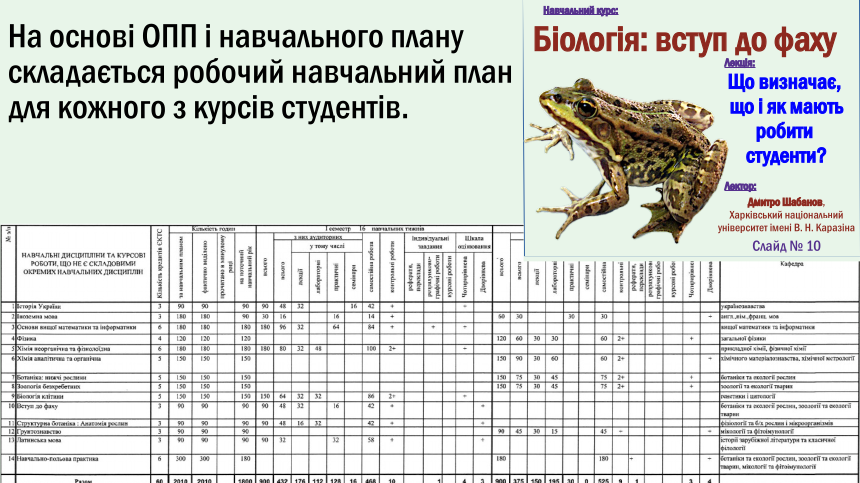 speciality ii programm 10