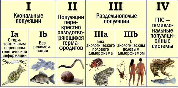 table 600