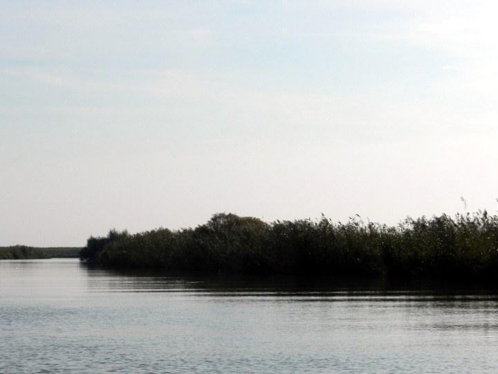 vi32