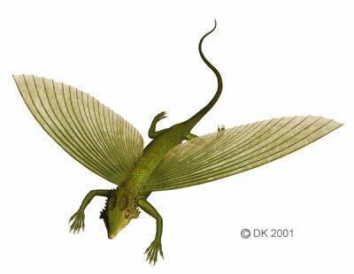 weigeltisaurus