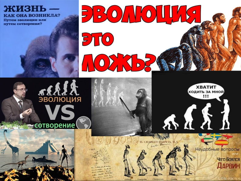 HumNat I Evolution%26Selection 13