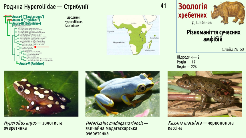 Recent Amphibians 68