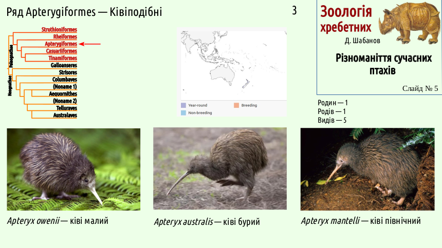 avian systematics 05