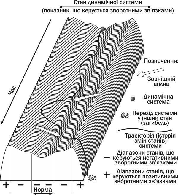 Рис. I-8.1. Траєкторія системи, керованої зворотними зв'язками. Перший зовнішній вплив вивів систему з діапазону норми, але більш потужні негативні зв'язки повернули її в діапазон норми. Другий зовнішній вплив перевів систему в діапазон дії позитив