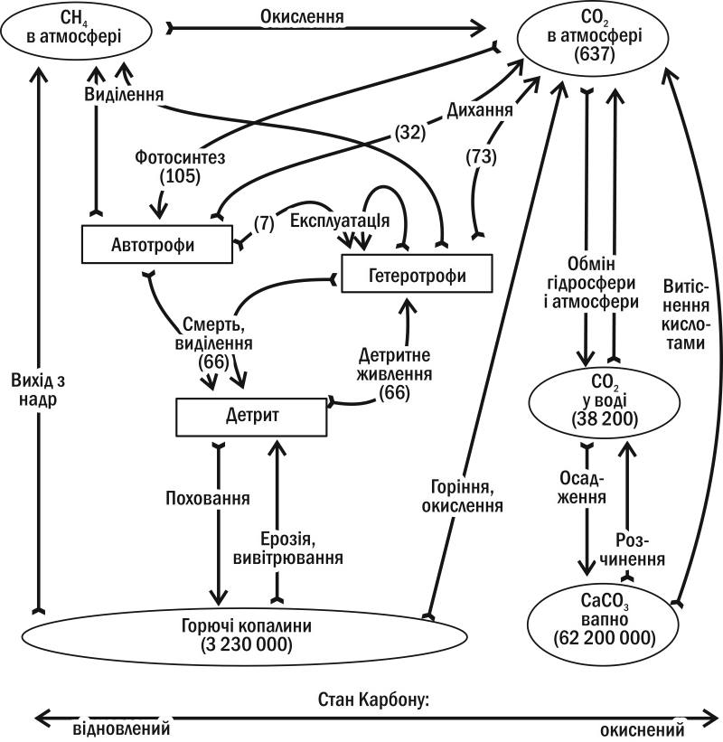 Fig. II-6.1. Global Carbon cycle. Numbers — millions of billions of grams (10¹⁵ g); for stocks — average values, for fluxes — per yearIndustrial emissions of carbon monoxide (CO) into the atmosphere equal or even exceed its natural inputs.The specia