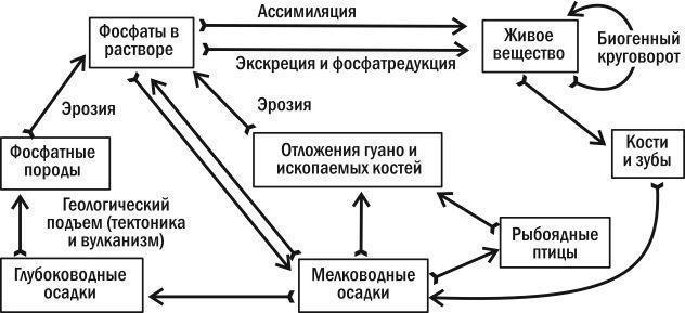 Ecology: The Biology of Interactions. 2.09. The Biogeochemical Cycle of Phosphorus