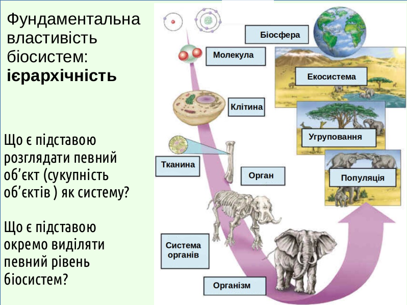 Eco II Biosystems%26Regulation 02